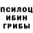 Псилоцибиновые грибы прущие грибы Thom Kuhlmann