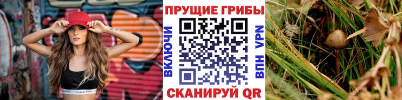 Псилоцибиновые грибы ЛСД  MEGA как зайти  Болхов 